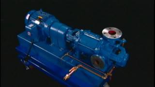 NASH Liquid Ring Vacuum Pump  How It Works [upl. by Hennie337]