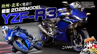 欧州・北米で発表 「2025新型 YZFR3」新デザインにウイングレットやアシスト＆スリッパークラッチを採用！早速カタログチェック！byYSP横浜戸塚 [upl. by Orimlede245]