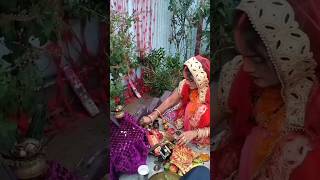 Vartika shakya ke tulasi geet पारंपरिकतुलसीगीत youtubeshortsvideo viralshortsvideo2024 [upl. by Herold]