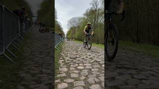 Crash on the cobbles at the Arenberg ParisRoubaix cycling parisroubaix [upl. by Hirai476]