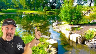 Amazing FARM POND Renovation [upl. by Rainie]