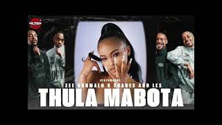 Shakes amp Les X 031 Choppa  Thula Mabota feat Zee Nxumalo [upl. by Viviyan]