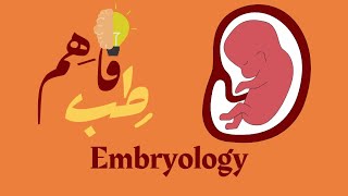 General embryology Spermatogenesis [upl. by Anuaf]