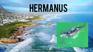 Hermanus Whale Festival [upl. by Ahab639]