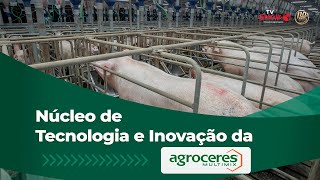 Núcleo de Tecnologia e Inovação da Agroceres Multimix desenvolve pesquisas com suínos [upl. by Eeldarb386]