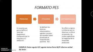 NANDA NIC NOC parte I [upl. by Agni]