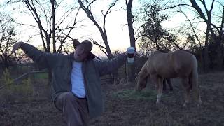 Crazy Horse Story 6  Riding On The Beach Expert Rider Loses Control Of Her Horse [upl. by Htesil]