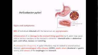 Helicobacter pylori signs and symptoms [upl. by Wilmer139]