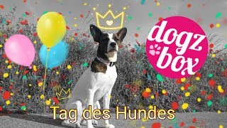 Tag des Hundes  DogzBox  Premiumbox  unboxing [upl. by Sello807]