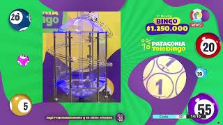 SORTEO PATAGONIA TELEBINGO N° 369  101124  LOTERIA LA NEUQUINA [upl. by Delacourt]