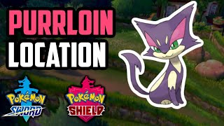 How to Catch Purrloin  Pokemon Sword amp Shield [upl. by Kleeman]