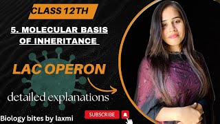 Lac Operon  molecular basis of inheritance class 12  in hindi biology neet youtube lacoperon [upl. by Sorce]