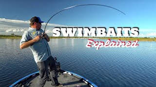 Types of Swimbaits  What you need to know Surprise Catch [upl. by Aisinut]