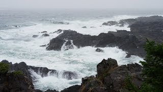 Sonido de Lluvia y Olas del Mar para Dormir y Relajarse  Meditación [upl. by Yaya]