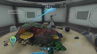 DIRECTO Subnautica cap6 [upl. by Melba]