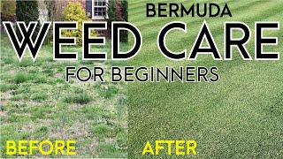 Getting Rid of Weeds in your Bermuda Grass for Beginners [upl. by Aihtnyc51]