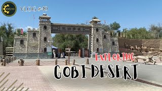 Vlog 40  Gobi Desert China  Xinjiang trip  international students tour  Shihezi University [upl. by Ahsata413]