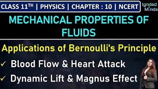 Class 11th Physics  Applications of Bernoullis Principle  Example 108  Chapter 10  NCERT [upl. by Fishbein]