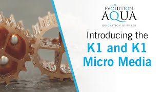 The Ultimate Filter Media  K1 and K1 micro by Evolution Aqua [upl. by Larner]