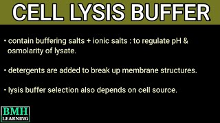 Lysis Buffer  Cell Lysis Buffer  Choosing A Lysis Buffer [upl. by Rabka54]