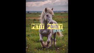 Petit Poney Remix [upl. by Airdnaz]