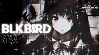 ℒund  Blkbird ✦TraduçãoLyrics✦ [upl. by Hicks]