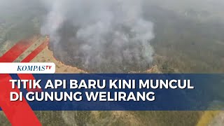 Kebakaran di Kawasan Bromo Teratasi Kini Titik Api Muncul di Gunung Welirang [upl. by Acenes]