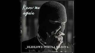 Dlidlowz Sthula Mabota Legacy EP Know Me Again Bacardi Music [upl. by Romina748]