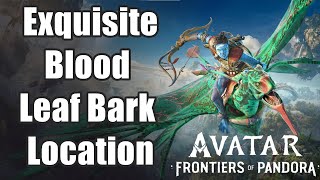 Avatar Frontiers of Pandora  Exquisite Blood Leaf Bark Location Guide [upl. by Maddie]