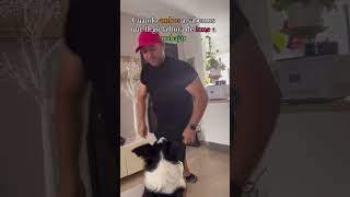 4 cosas que mi perro y yo entendemos dog bordercollie reels perros video shorts pets [upl. by Craggie]