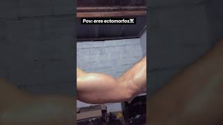 Ectomorfos ectomorfo gym efuerzo [upl. by Grete493]