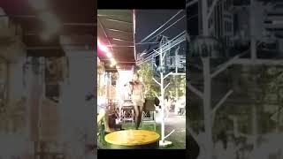 Pisando flores  Cover   Violin show in Bangkok [upl. by Anilas]