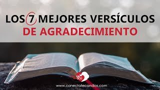 ☀️ Los 7 Mejores Versículos de Agradecimiento 🔴 Pasajes Bíblicos de Gratitud Narrados Reina Valera [upl. by Kimball]