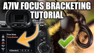 Sony A7IV Focus Bracketing Tutorial  Editing [upl. by Ethelinda]