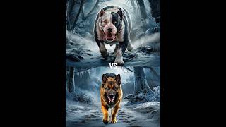 German Shepherd vs Bully Kutta vs Rottweiler Husky labradorretriever Battle [upl. by Novyak229]