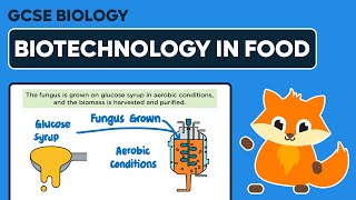 Biotechnology in Food Production  GCSE Biology [upl. by Michaella]