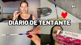 DIÁRIO DE TENTANTE  01 OVULEI E FIZ UM TESTE DE GRAVIDEZ ♥️ [upl. by Lerred]