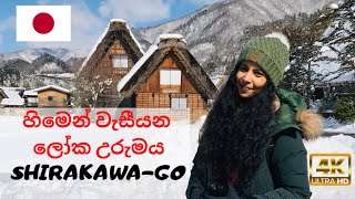 ජපානයේ හිමෙන් වැසුණු උපන් නගරයShirakawago  WORLD HERITAGE SITE  Hithumathe JAPAN Travel [upl. by Berta66]