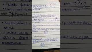 Cell divisionMitosis full handwritten notes BScBiotech1stsem mitosis cell biotech bsc notes [upl. by Yblok]