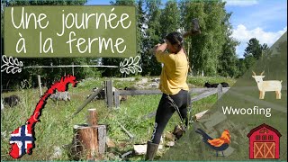 Une journée à la ferme  Wwoofing Norvège [upl. by Elleiad]