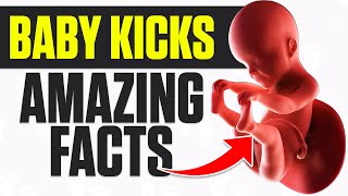 Fascinating Facts About Baby Kicks Inside the Womb [upl. by Neeluqcaj464]