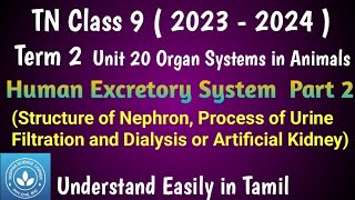 Structure of Nephron Process of urine formation and Dialysis or Artificial Kidney Class 9 Science [upl. by Ariait]