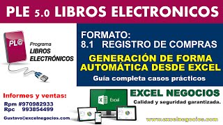 PLE 5005 FORMATO 81 REGISTRO DE COMPRAS Macros en Excel [upl. by Engedus937]