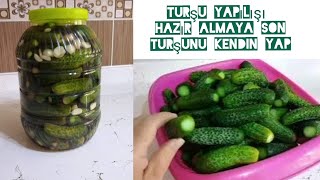 Soğuk suyla kornişon salatalık turşusu 5 litrelik bidona tam ölçü pickle [upl. by Adnahsor]