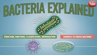 Bacteria Explained Structure Classification Reproduction Harmful vs Useful Bacteriaquot [upl. by Mairhpe114]