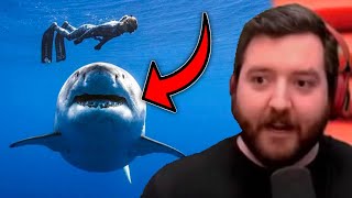 BRUTAL Shark Attack CAUGHT ON CAMERA in Australia  PKA Reacts [upl. by Town355]