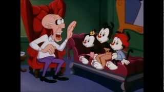 Animaniacs Episode 6C What Are We [upl. by Adao871]