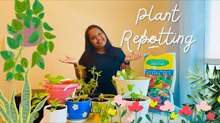 A Day Of Plant Care🌱🇦🇪  A Positive Day  Anjali Sreedharan  Malayalam Vlog  Aesthetic  Dubai🇦🇪 [upl. by Arateehc]