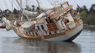 Video of Classic Schooner Statia Sailing Again after Being Refloated off Vancouver Island Goes Viral [upl. by Wendalyn82]