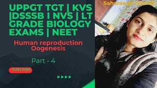 Oogenesis  Gametogenesis Human reproduction  Uppgttgtbiology  KVSpgt DSSSB NEET NVS Biology [upl. by Esil]